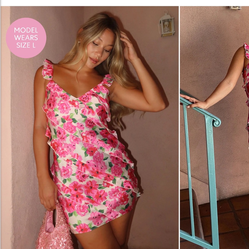 Show Me Your MuMu Rosa Ruffle Dress - Picture 3 of 3